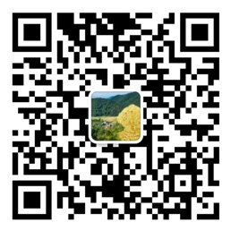 百姓彩票手机入口
